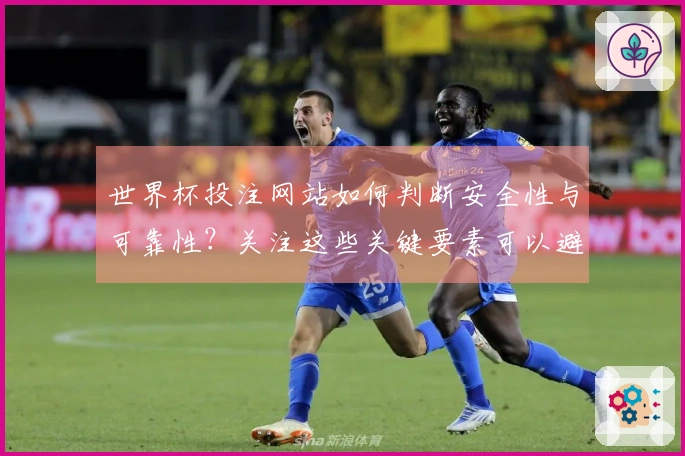 世界杯投注网站如何判断安全性与可靠性？关注这些关键要素可以避免风险