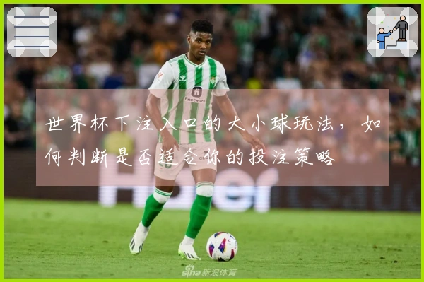 世界杯下注入口的大小球玩法，如何判断是否适合你的投注策略
