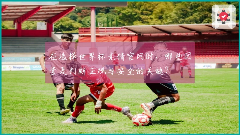 在选择世界杯竞猜官网时，哪些因素是判断正规与安全的关键？